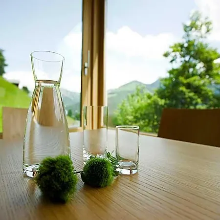 Hotel Alpenrose Ebnit Hotel