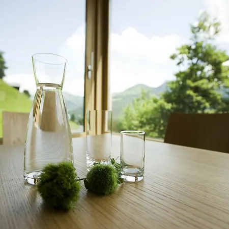 Hotel Hotel Alpenrose Ebnit Dornbirn