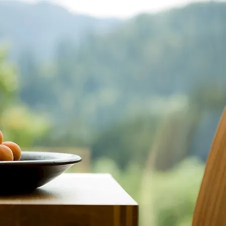 Alpenrose Ebnit Hotel